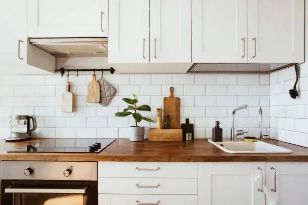 Modern Kitchen Renovation